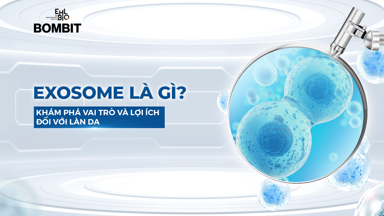 Cách sử dụng meso Exosome